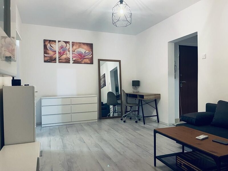 Baba Novac, 15 minute metrou Piata Muncii si parc IOR, pe Gheorghe Petrascu